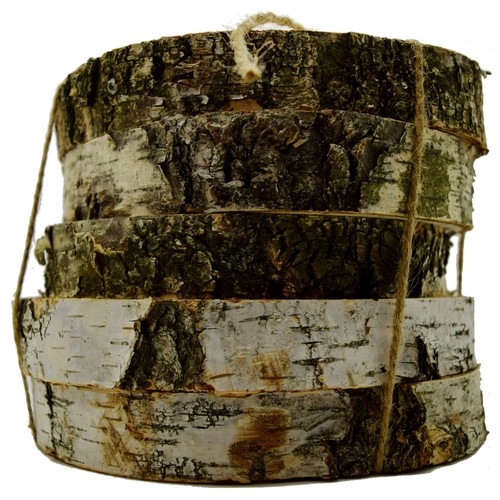 5pcs natural wood - 5pcs, log