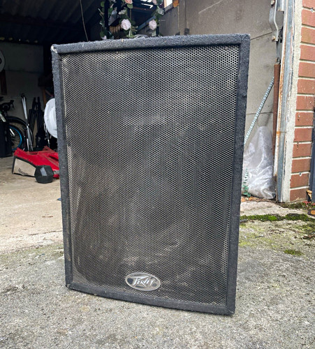 Peavey pro 15in - 2x,