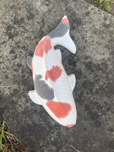 Large koi fish - koi, pond