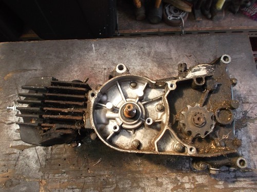 Suzuki lt50 engine - suzuki,