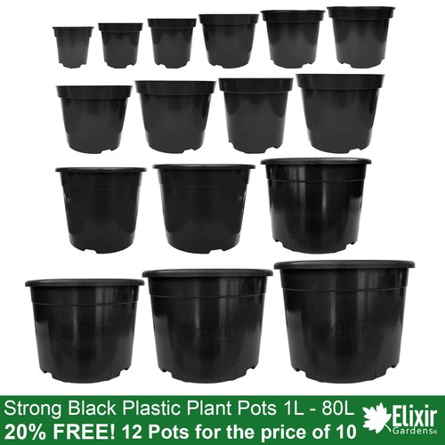 Black plastic pots 12 for - |,