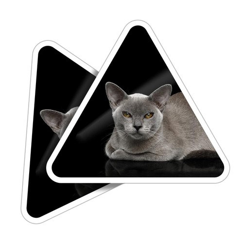 Triangle shape vinyl - 2x,