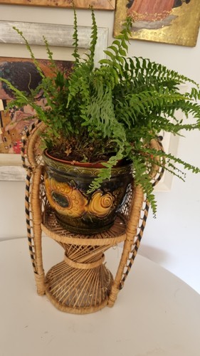 Vintage peacock chair - vintage,