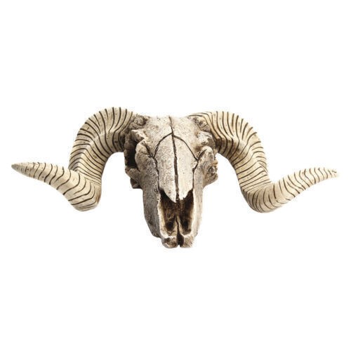 Ram skull with horns wall - skull,