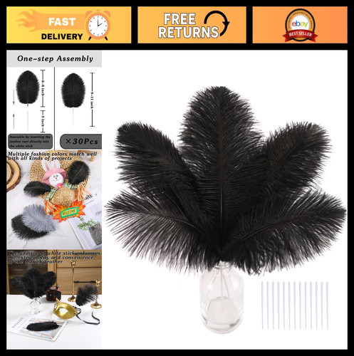30pcs black ostrich feathers - 30pcs,