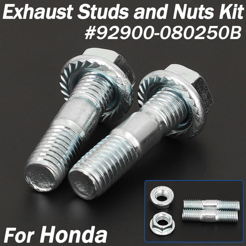 Exhaust studs nuts - exhaust,