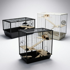 Hamster Rat Degu Cage Pet