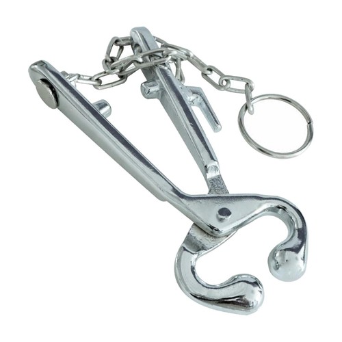 Cattle nose rings - nose, bull