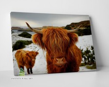 HIGHLAND COW Brown Canvas Art Print Wall Art Animal Decor Photo Picture -D124