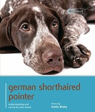 German Shorthaired Pointer -