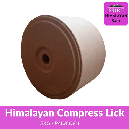 Himalayan salt lick animal - himalayan,