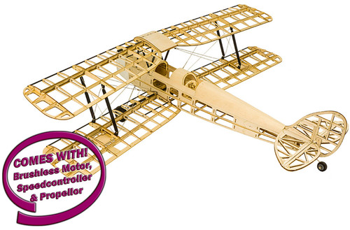 Dancing wings tiger moth - rc,