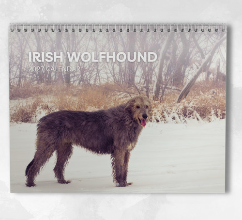 Irish wolfhound calendar 2027 - calendar,