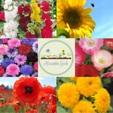 FLOWER SEED BUNDLE  poppy