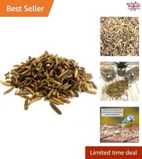 1kg  Dried Calciworms -