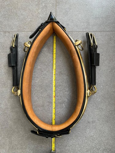 English full collar - english,