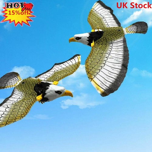 Flying falcon hawk bird scarer - falcon,