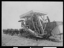 on a horse-drawn threshing machine near Brawley 1910 California - Old Photo