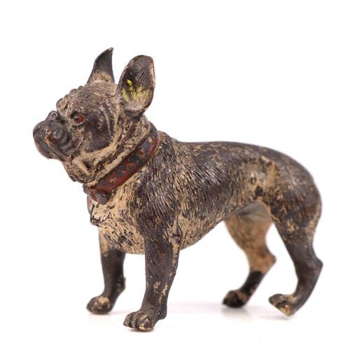 Bronze french bulldog bergmann - bronze,