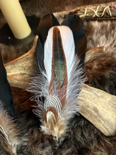Smudging feather fan wand d20 - smudging,