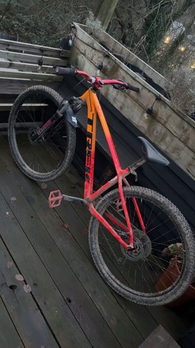 Trek marlin mountain bike - marlin,