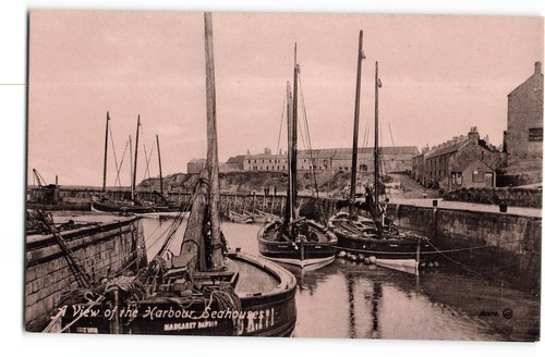 View harbour seahouses fishing - view,