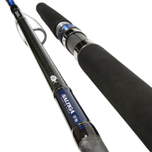 Daiwa fishing rod saltiga - daiwa, gt