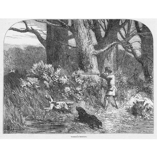 Woodcock shooting victorian - shooting,,