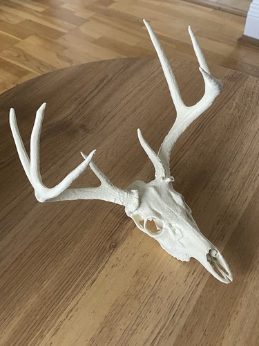Artificial deer with - artificial,