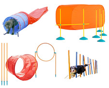 Outdoor Indoor Dog Pet Agility
