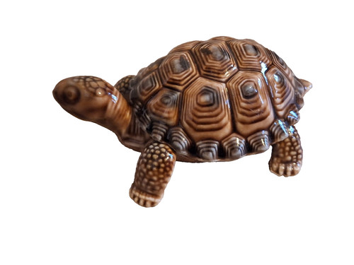 Tortoise trinket dish - tortoise, brown