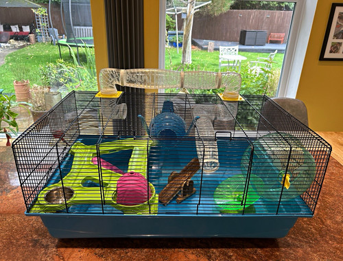 Hamster heaven cage with all - cage,
