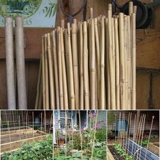 HeavyDuty Garden Bamboo Canes