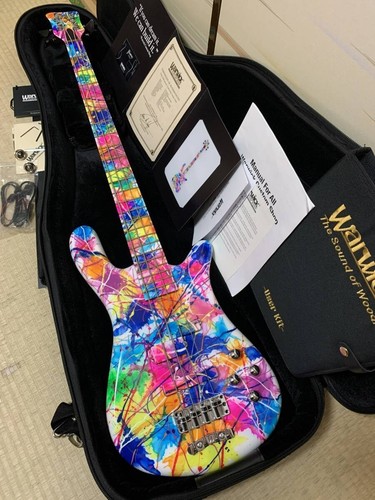 Warwick custom shop streamer - shop,