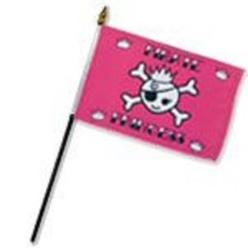 2 Pack Pirate Princess Pink