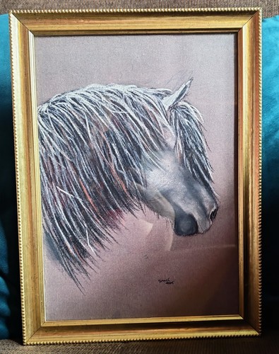Framed numbered limited - &,