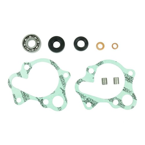 Water pump gasket - , series