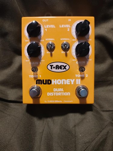 Rex mudhoney distortion - ii,