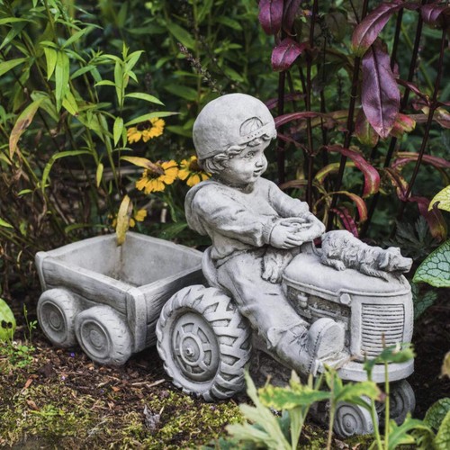 Boy dog tractor with - boy, &