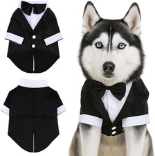 Dog Tuxedo, Dog Tuxedo Suit