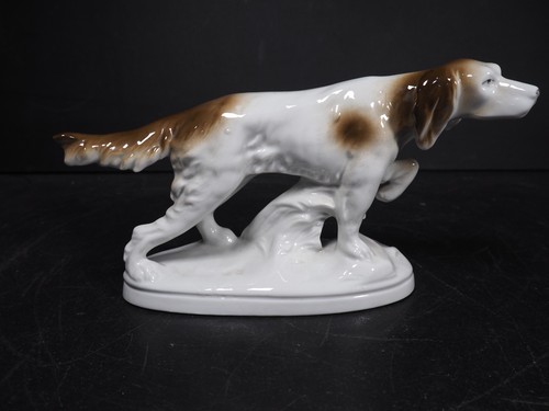 Vintage english setter gundog - english,