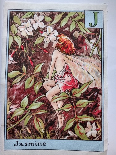 Jasmine alphabet letters - -,