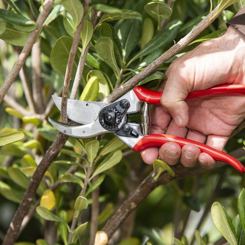 Felco secateurs for garden - felco,