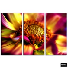 Flowers BOTANICAL   Floral BOX