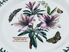 Large Portmeirion Botanic