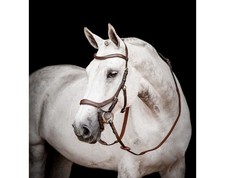 *SALE* Horseware Micklem 2