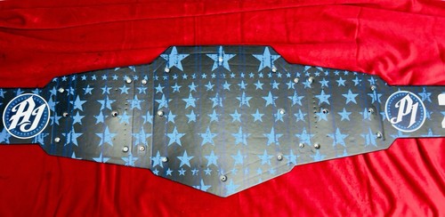 Wwe styles 10th - aj,