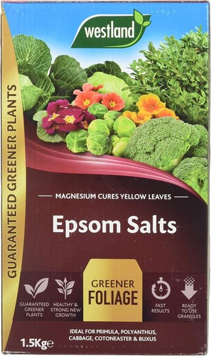 Westland epsom salts - salts, 1.5kg