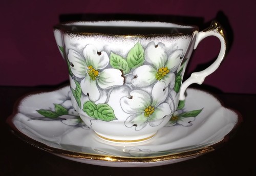 Dogwood salisbury tea - b.c.,