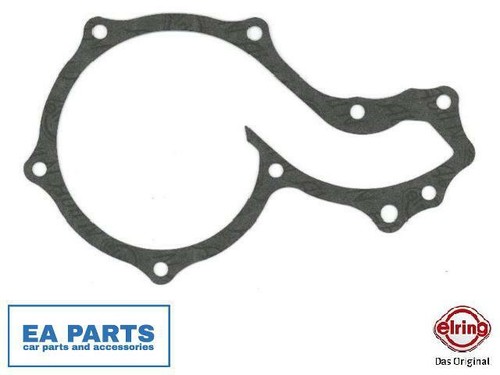 Gasket water pump - water,